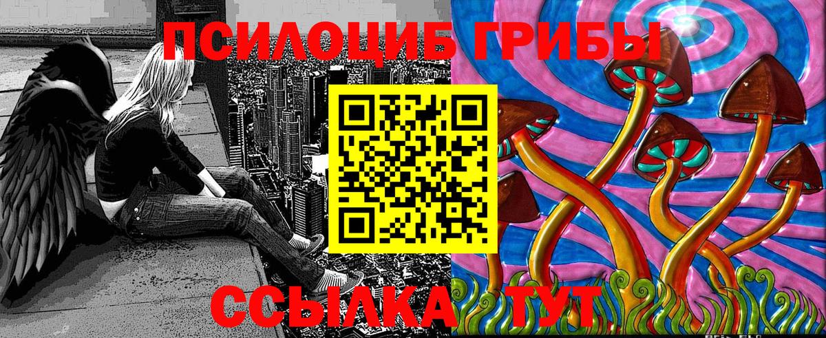 Гурьевск  Галлюциногенные грибы прущие грибы  Вход с VPN 
