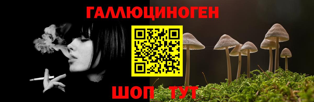 Галлюциногенные грибы мухоморы Гурьевск